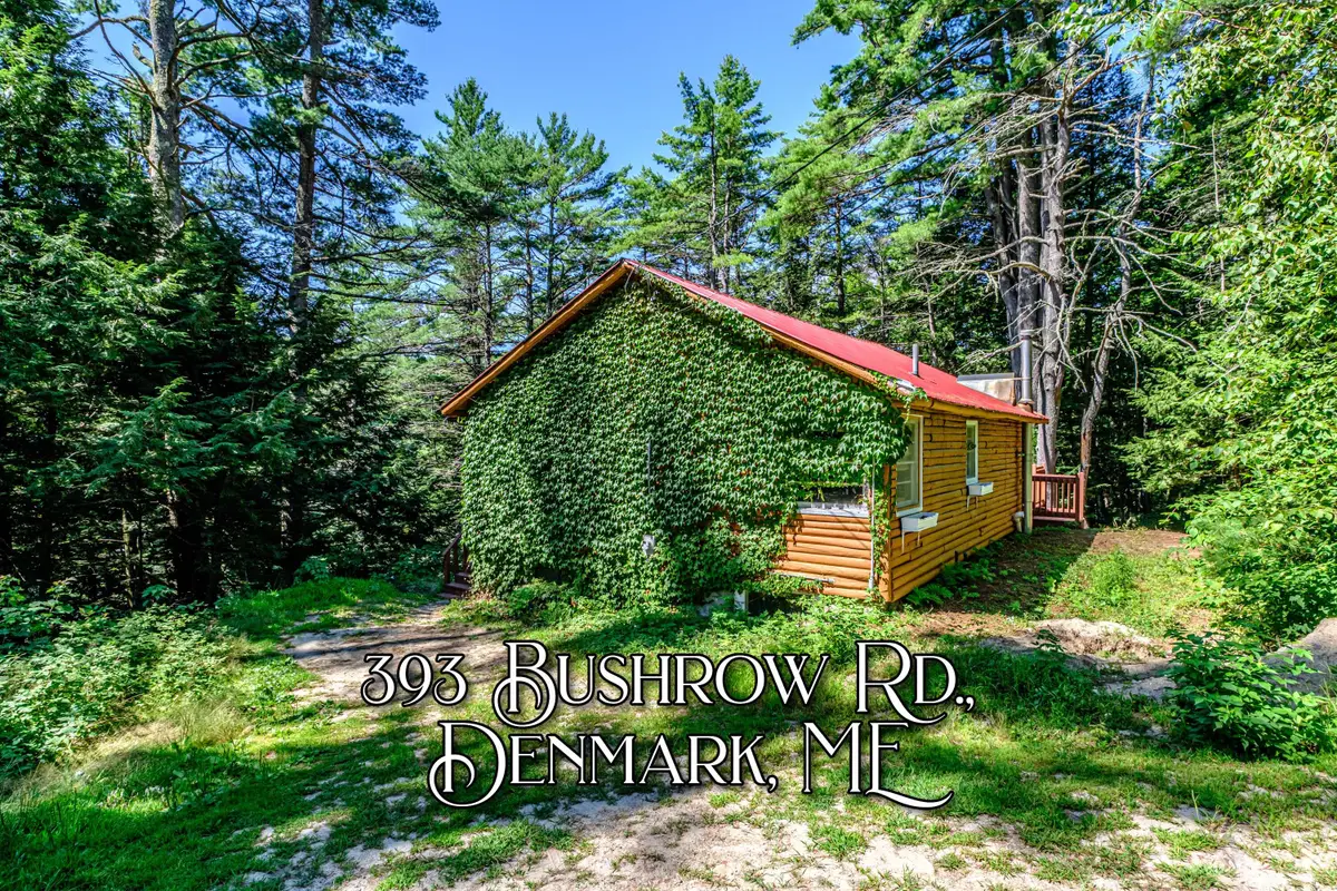 393 Bush Row Road, Denmark, ME 04022 - #1