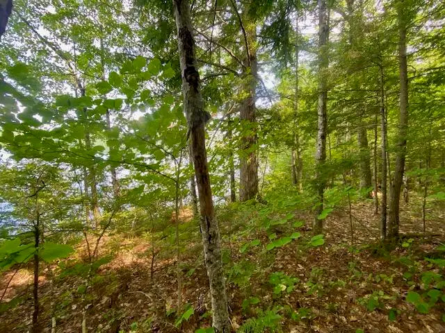 15AC Colcord Pond Road, Porter, ME 04068 - #3