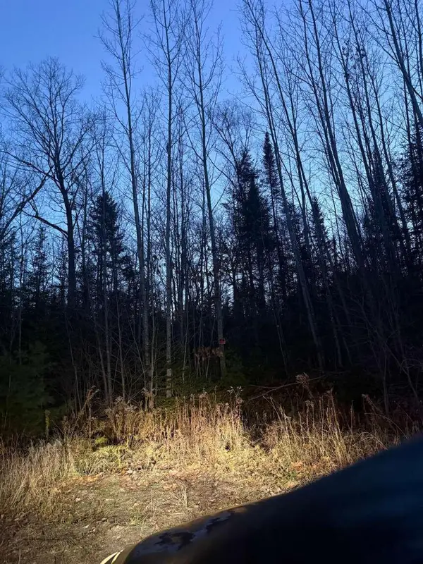 Lot 3 Ariel Street, Lincoln, ME 04457