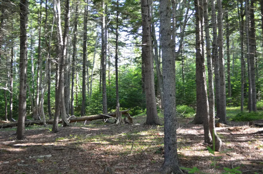 12 Ocean Ridge Road, Cushing, ME 04563 - #3