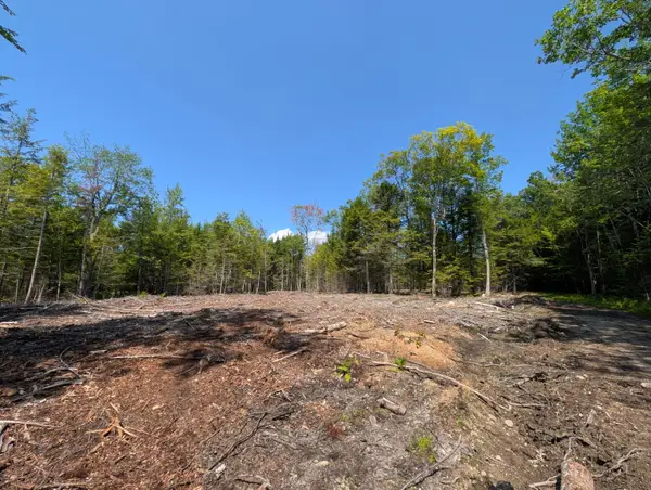 Lot 9A Maple Ridge Road, Harrison, ME 04040