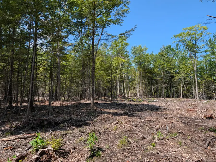Lot 9A Maple Ridge Road, Harrison, ME 04040 - #3