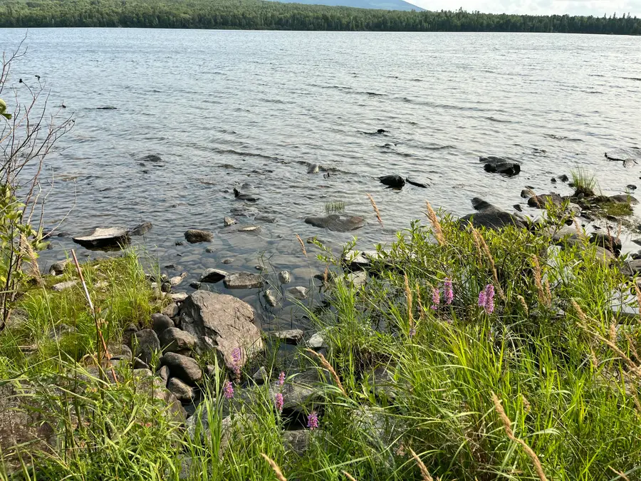 Lot 8 S East Journeys End Road, Northeast Piscataquis, ME 04441 - #2