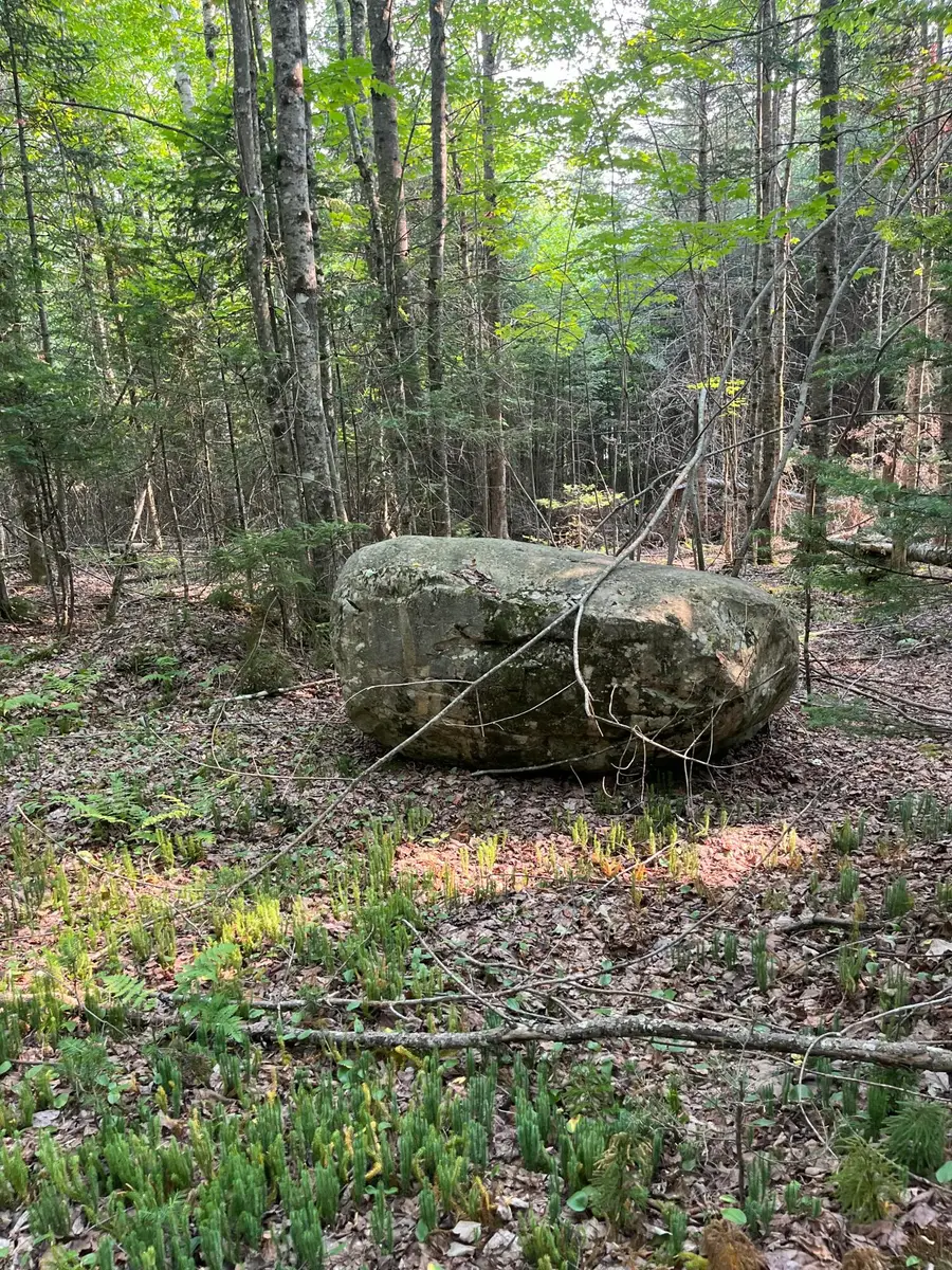 Lot 8 S East Journeys End Road, Northeast Piscataquis, ME 04441 - #3
