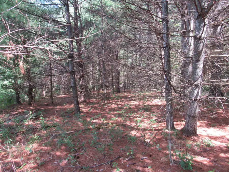 MR10 L17 & 18 Sandy River Road, Starks, ME 04911 - #3