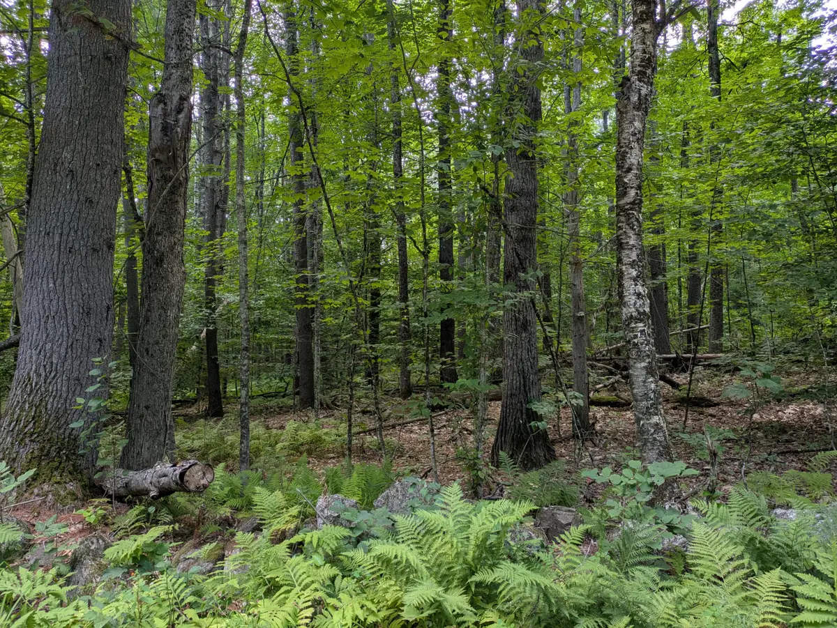Lot 121 Old Country Way, Limerick, ME 04048 - #1