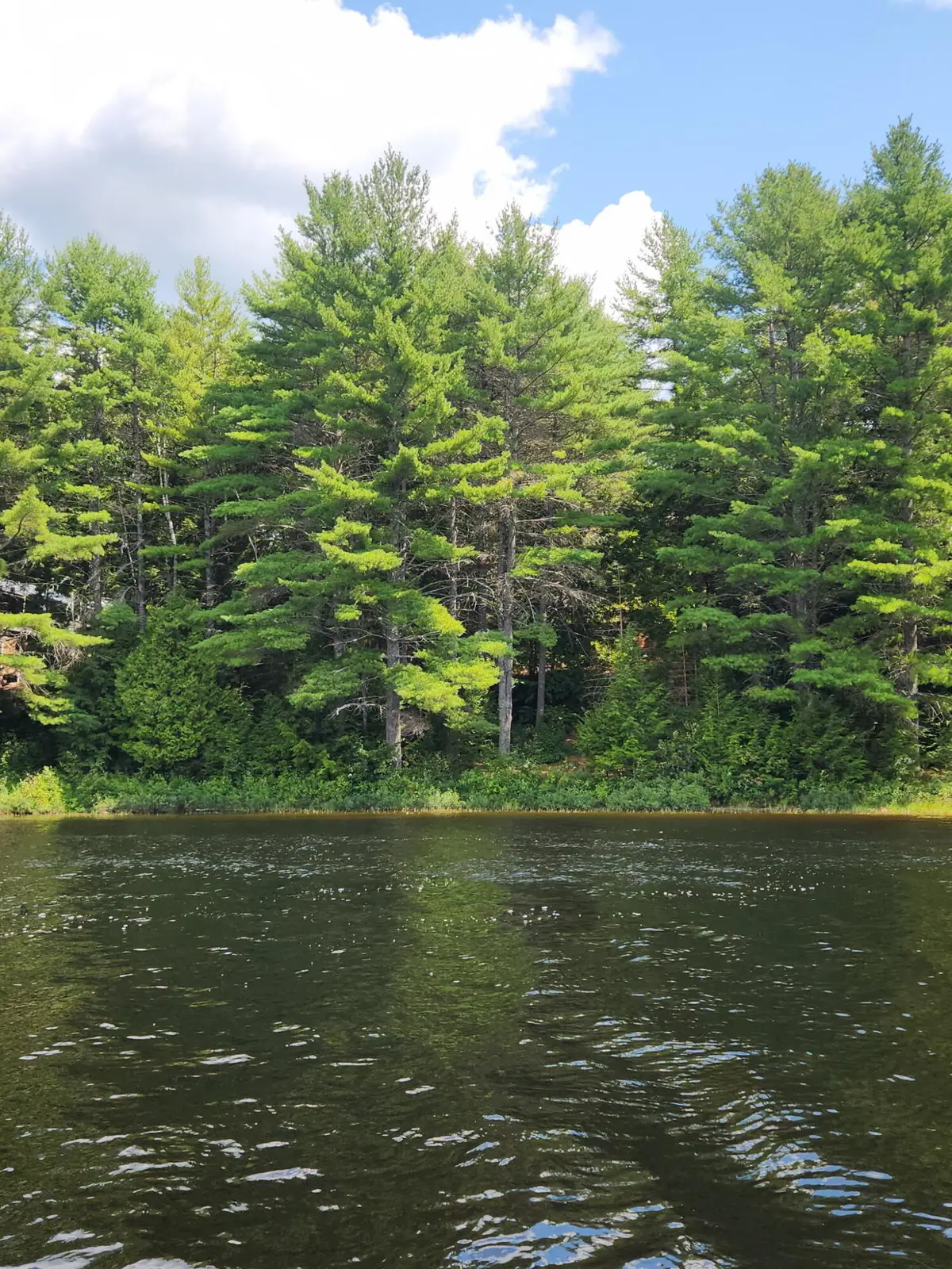 67 E Beddington Lake Road, Beddington, ME 04622 - #1