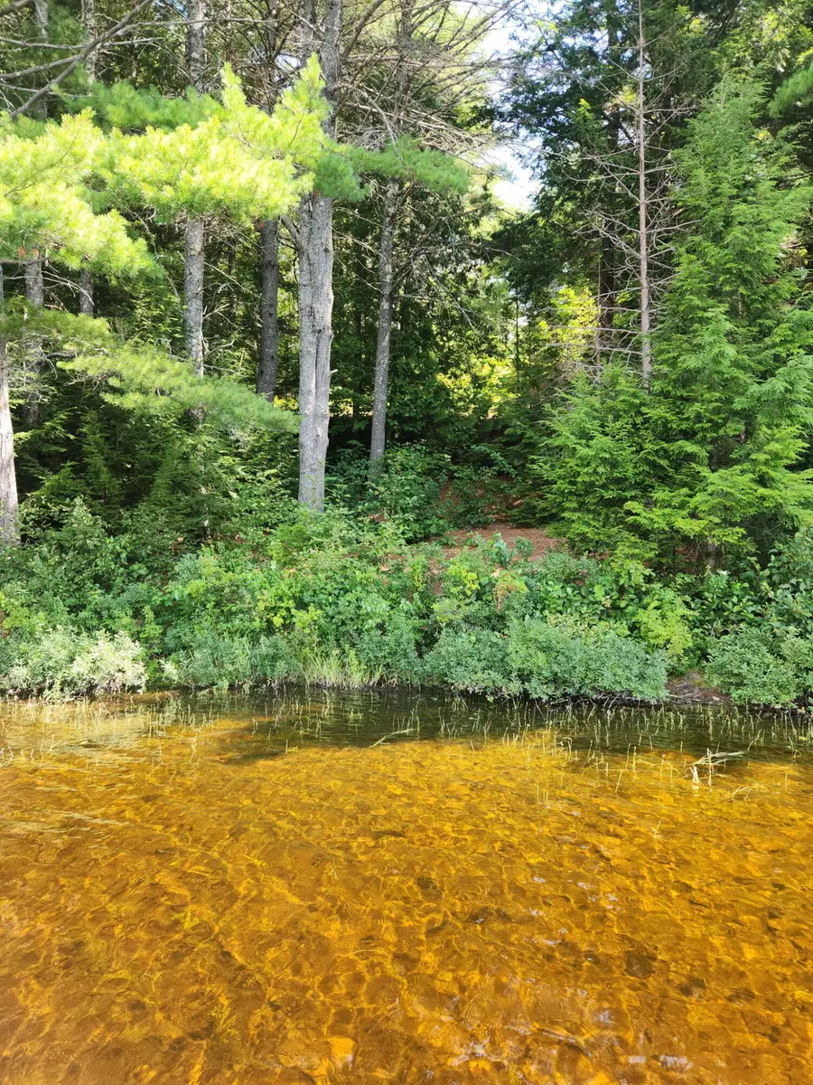 67 E Beddington Lake Road, Beddington, ME 04622 - #2