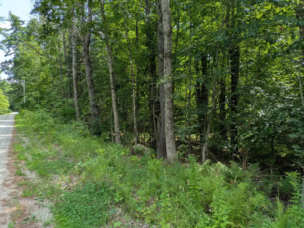 Lot 94 Long Street, Limerick, ME 04048 - #1