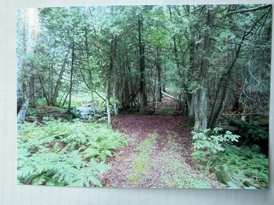 510 Milo Road, Dover Foxcroft, ME 04426 - #3
