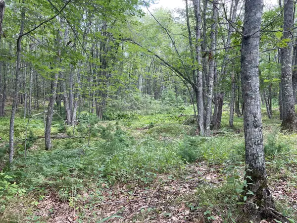 M3 L27-6 Arrowsic Road, Arrowsic, ME 04530