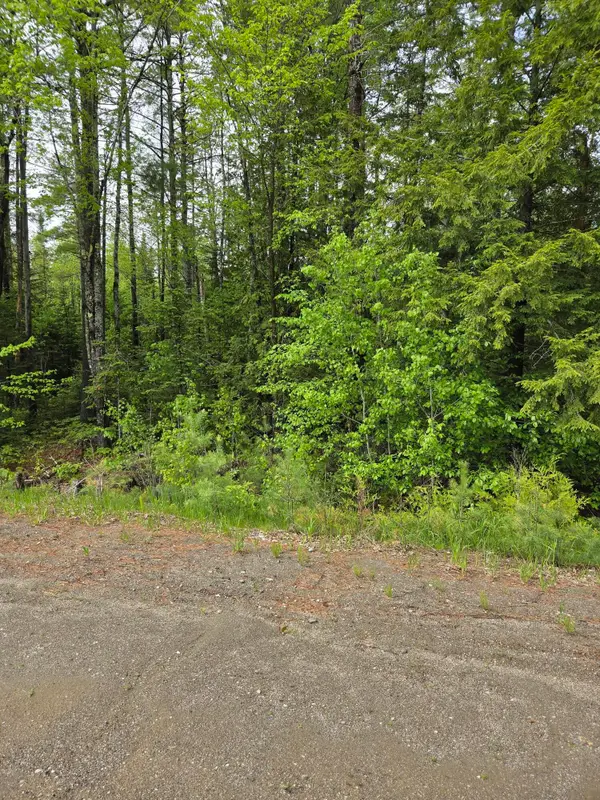 Lot 81-1 Lower Detroit Road, Plymouth, ME 04969