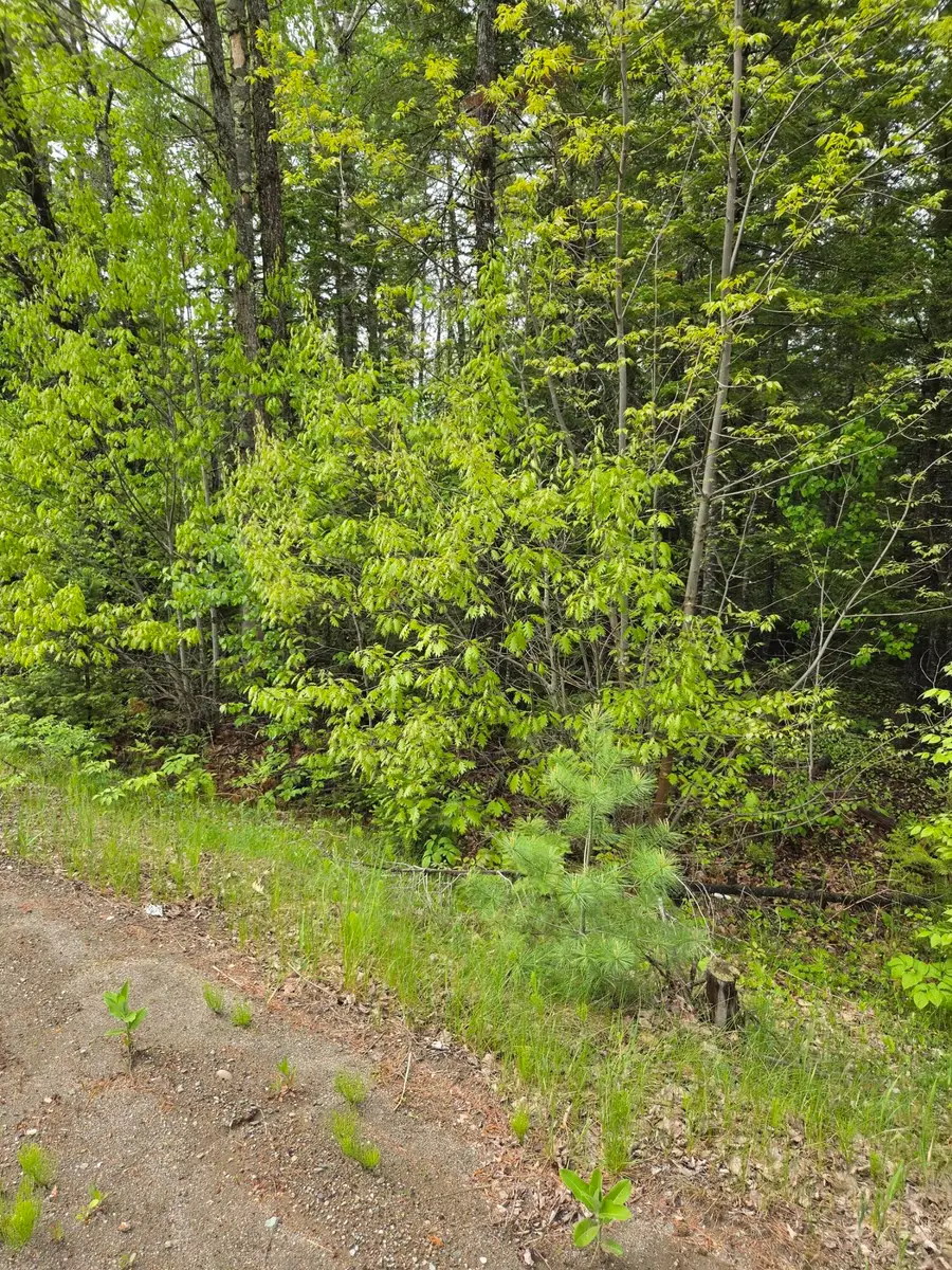 Lot 81-1 Lower Detroit Road, Plymouth, ME 04969 - #2