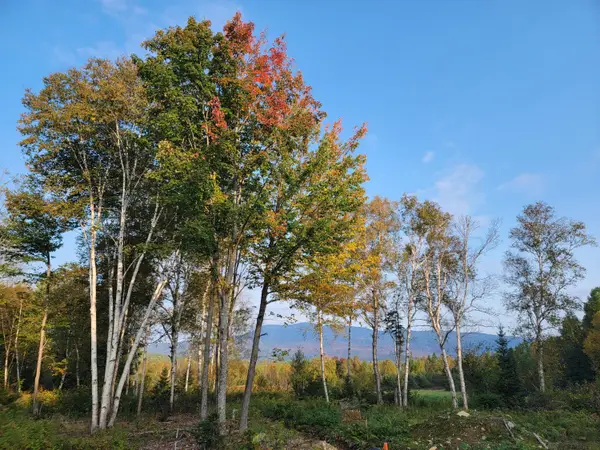 41-109 Big Snow Way, Rangeley, ME 04970