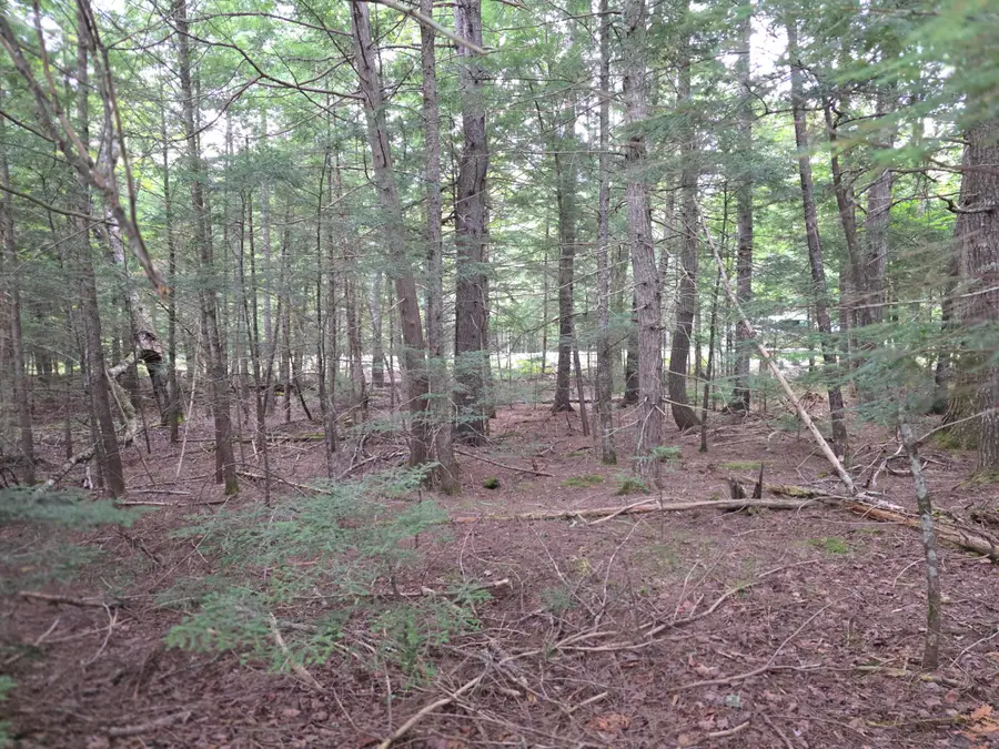 Lot N Us Rt 2, Macwahoc, ME 04451 - #3