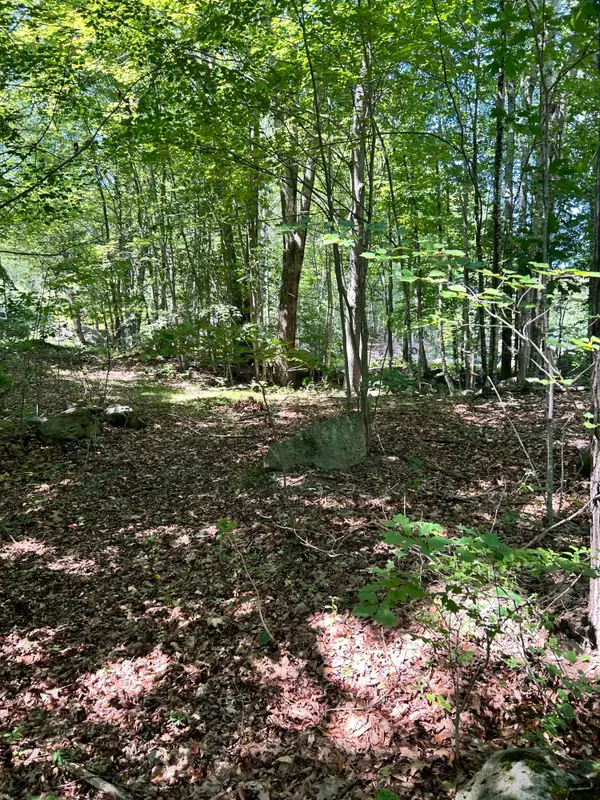 0 Poor Farm Road, Lyman, ME 04002