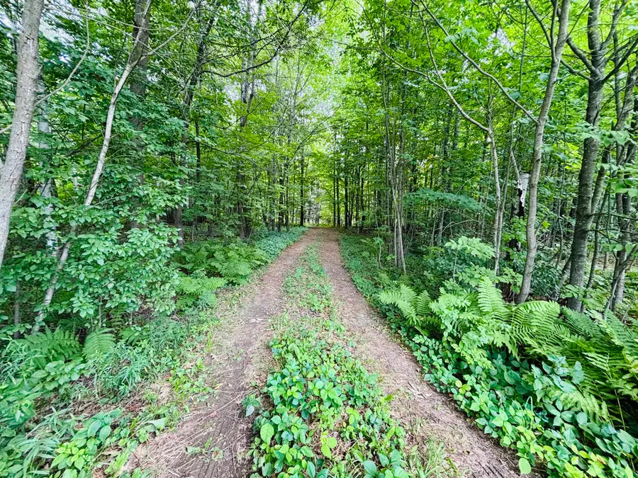 13 Lower Notch Road, Garland, ME 04939 - #3