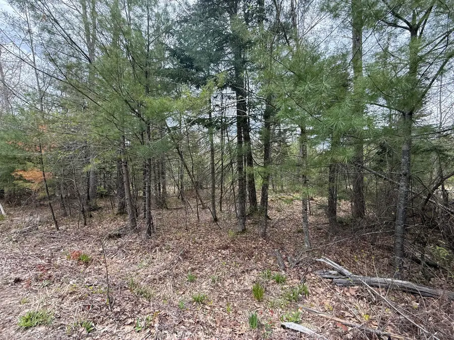 M R14 L 42 T M Wentworth (lot A) Road, Lebanon, ME 04027 - #3