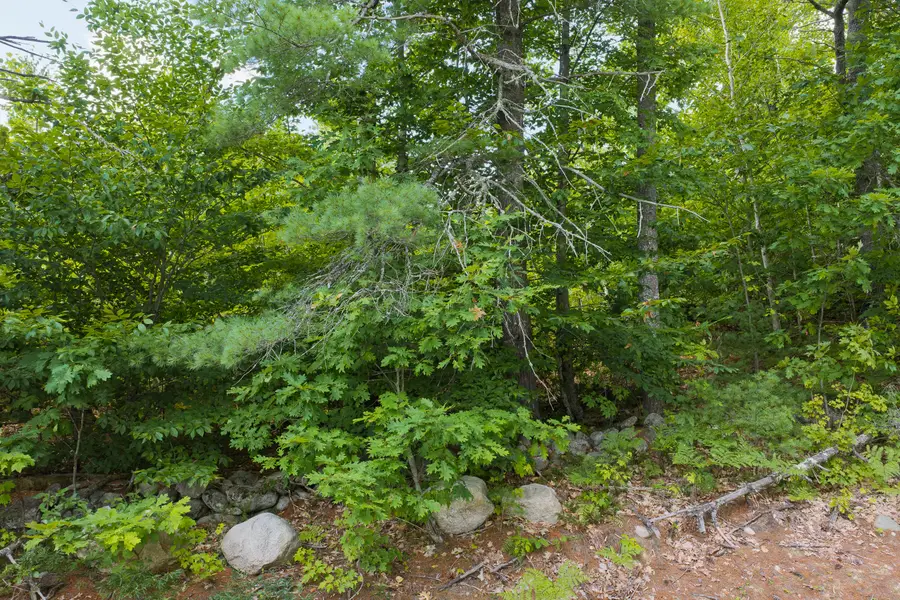 Lot 1 Bell Hill Road, Otisfield, ME 04270 - #2