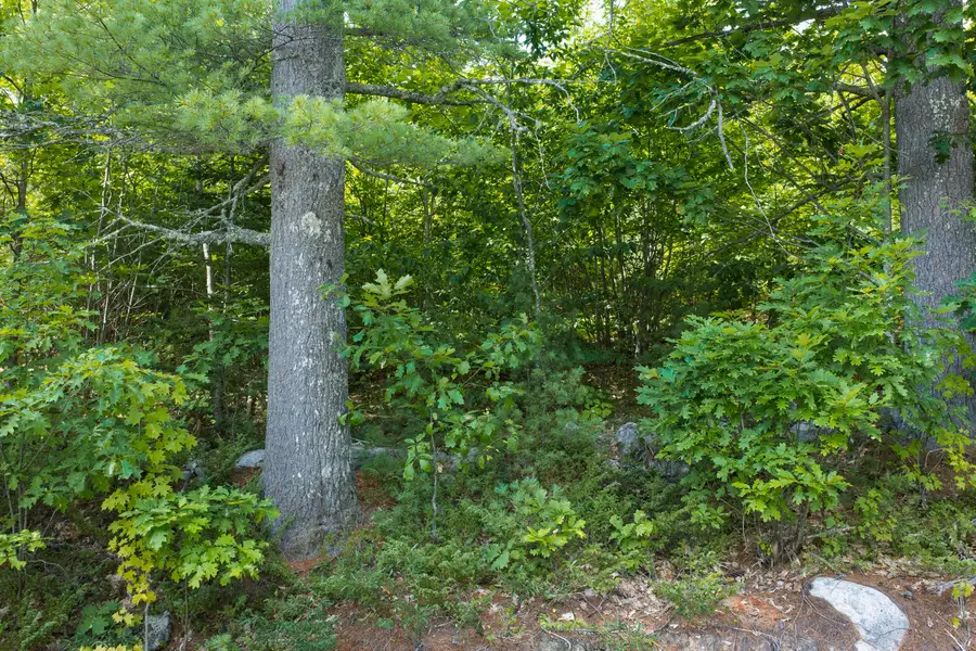 Lot 1 Bell Hill Road, Otisfield, ME 04270 - #3