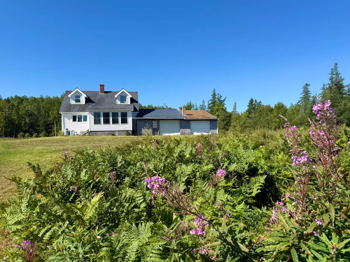 736 Leighton Point Road, Pembroke, ME 04666 - #1