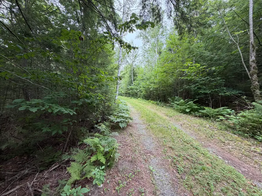 L21 Huff Road, Danforth, ME 04424 - #2