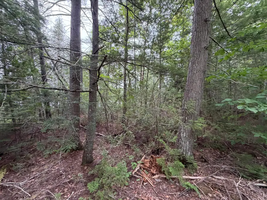 L21 Huff Road, Danforth, ME 04424 - #3