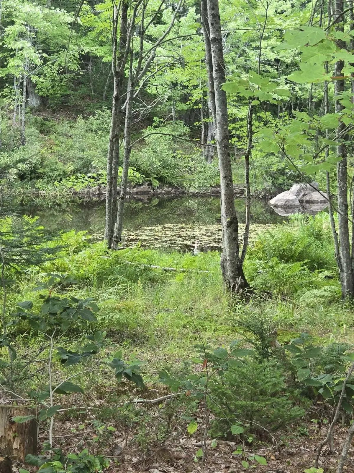 Lot12 River Road #Lot 12, Sumner, ME 04292 - #1