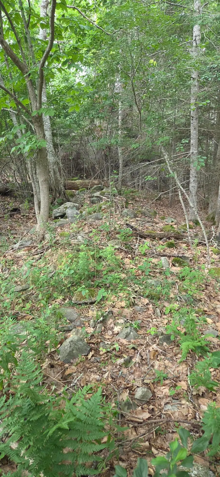 TBD Lower Falls Road, Orland, ME 04472 - #3
