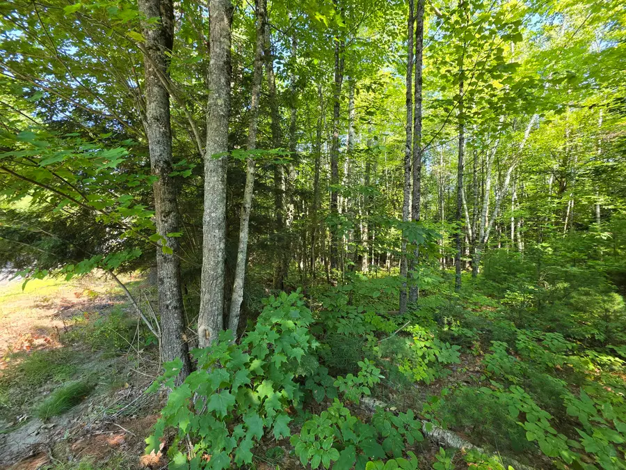 M2 L45-04 Lowell Road, Enfield, ME 04493 - #3