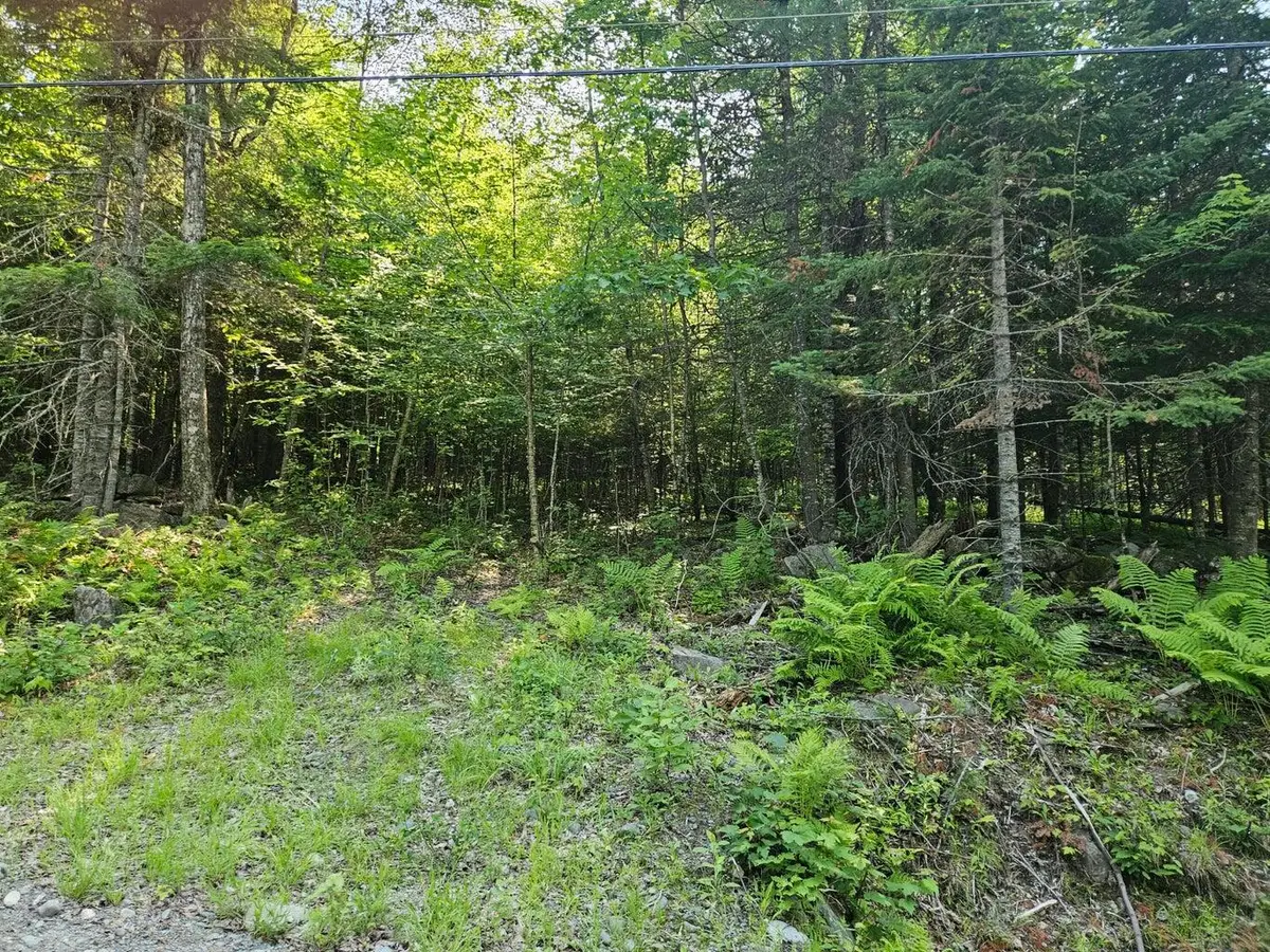 Lot 2-C Rips Road, Brownville, ME 04414 - #1