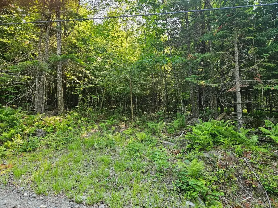Lot 2-C Rips Road, Brownville, ME 04414 - #2
