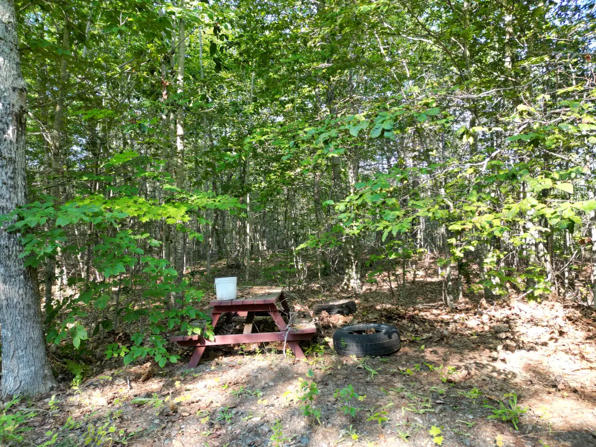 29 Spaulding Lane, Lee, ME 04455 - #1