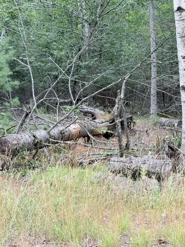 00 Walker Road, Lamoine, ME 04605