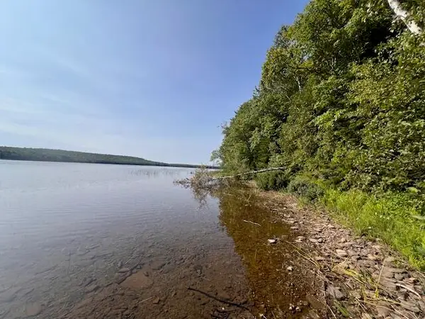 Lot 35 Woodland Ridge Road, Danforth, ME 04424
