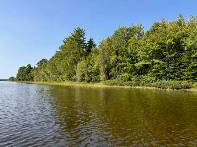 Lot 35 Woodland Ridge Road, Danforth, ME 04424 - #3