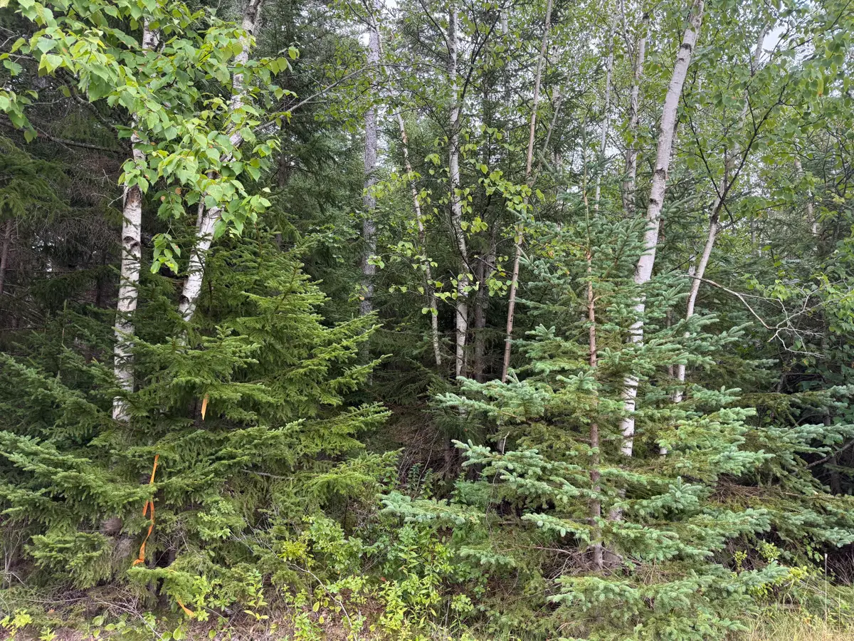 9 Redoubt Hill Road, Eastport, ME 04631 - #1