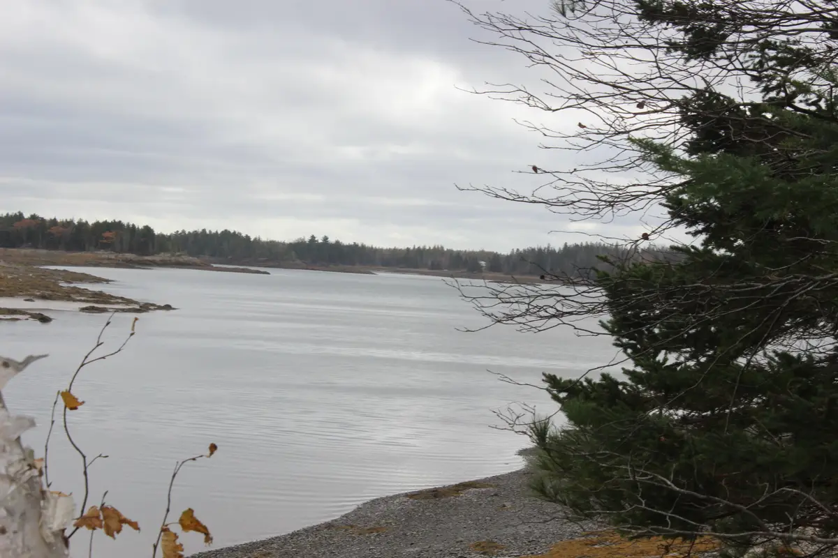 Lot #5 Hardy Point Road, Pembroke, ME 04666 - #1