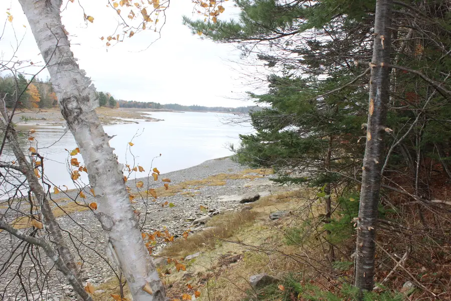 Lot #5 Hardy Point Road, Pembroke, ME 04666 - #2