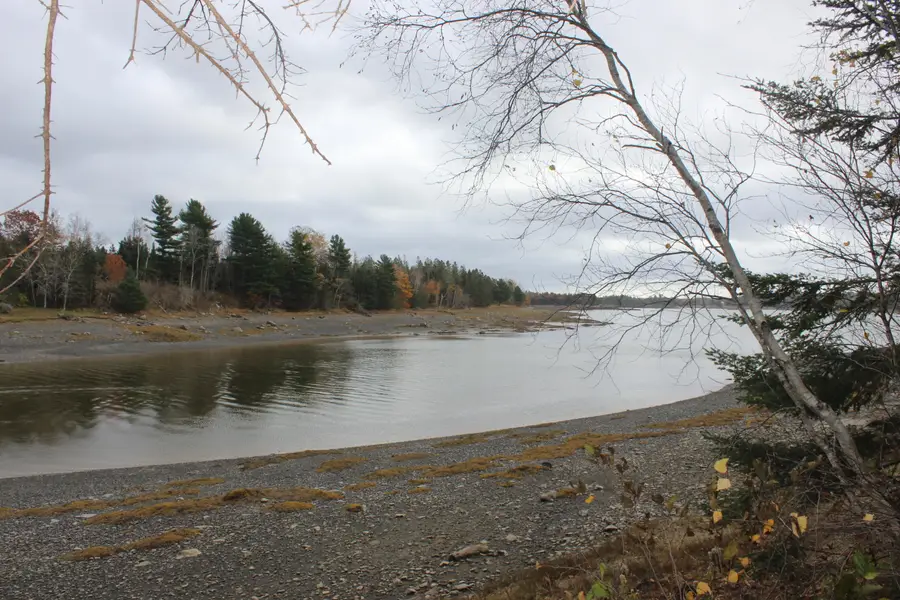 Lot #5 Hardy Point Road, Pembroke, ME 04666 - #3