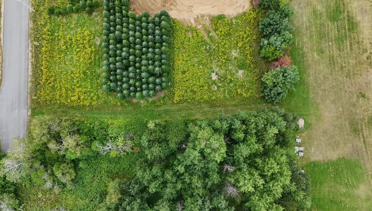 1 E Village Acres Dr. Drive E, Easton, ME 04740 - #1