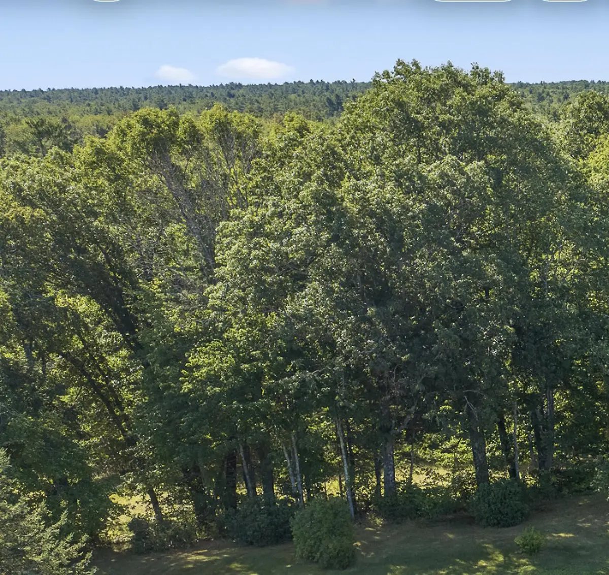 296 N Berwick Road, Wells, ME 04090 - #1