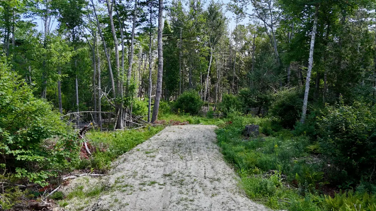 M08 L044-D Flye Point Road, Brooklin, ME 04616 - #1