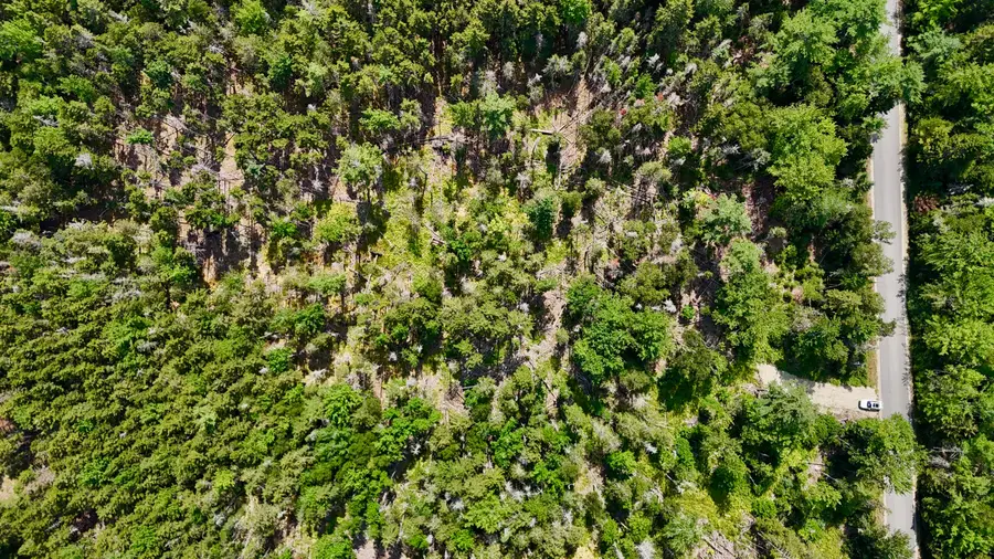 M08 L044-D Flye Point Road, Brooklin, ME 04616 - #3