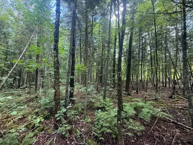 198 Green Ridge Road, Caribou, ME 04736 - #2