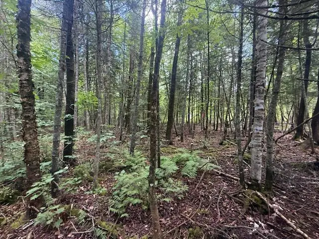 198 Green Ridge Road, Caribou, ME 04736 - #3