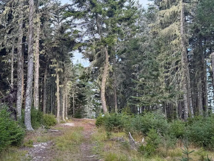 Lot 10-1 N Sutton Island, Cranberry Isles, ME 04625 - #2