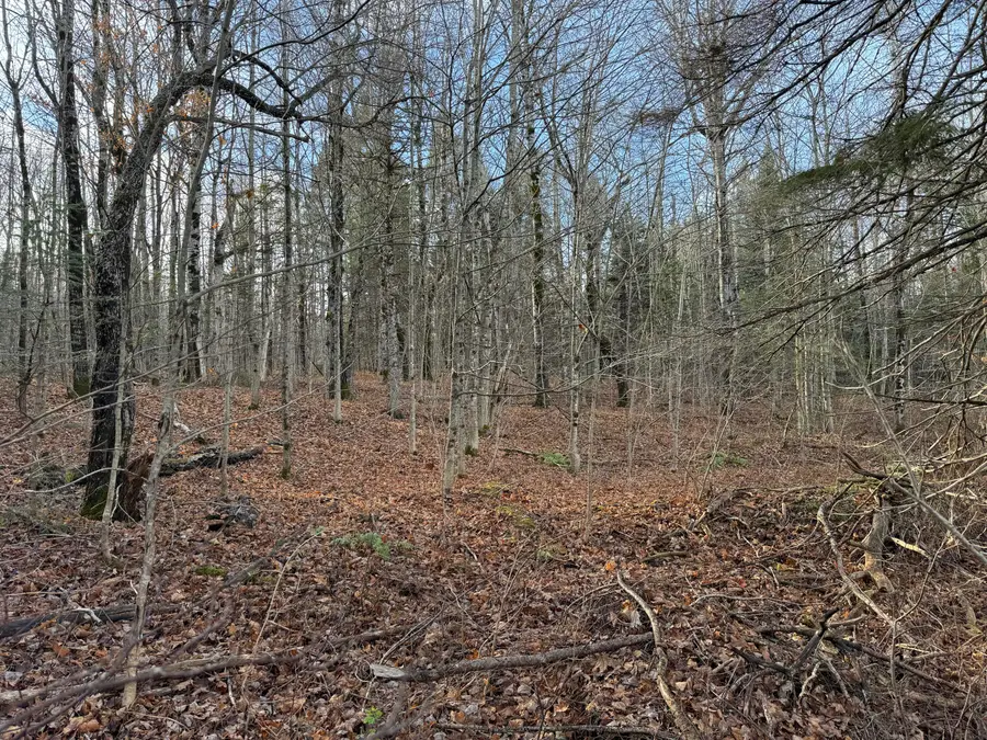 16 High Street, Westfield, ME 04787 - #2