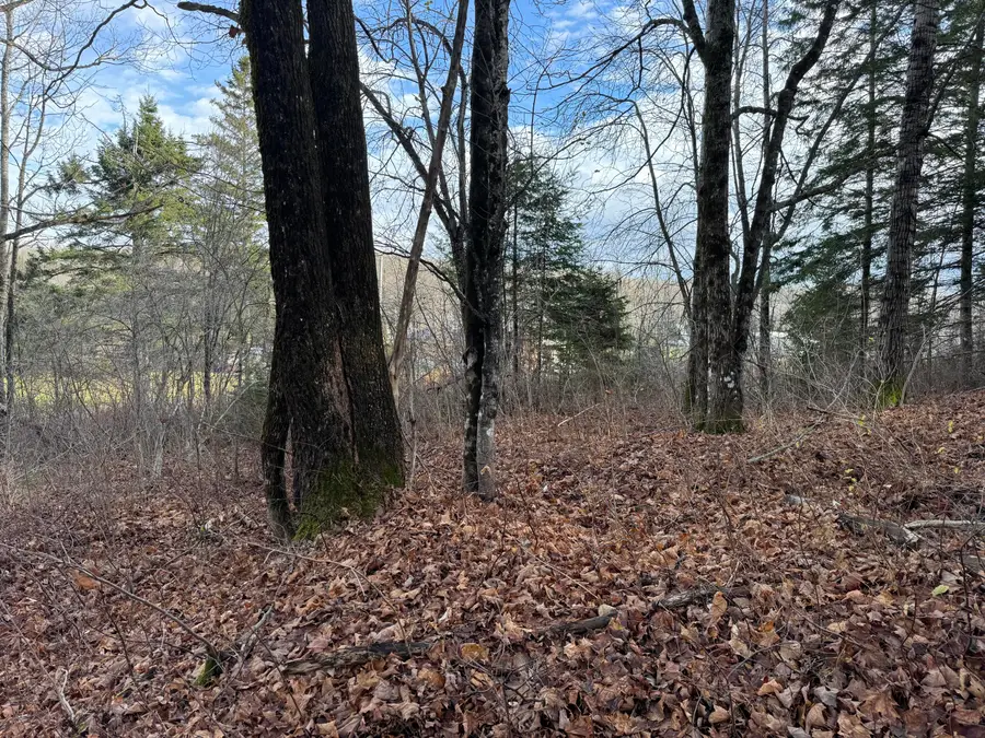 16 High Street, Westfield, ME 04787 - #3