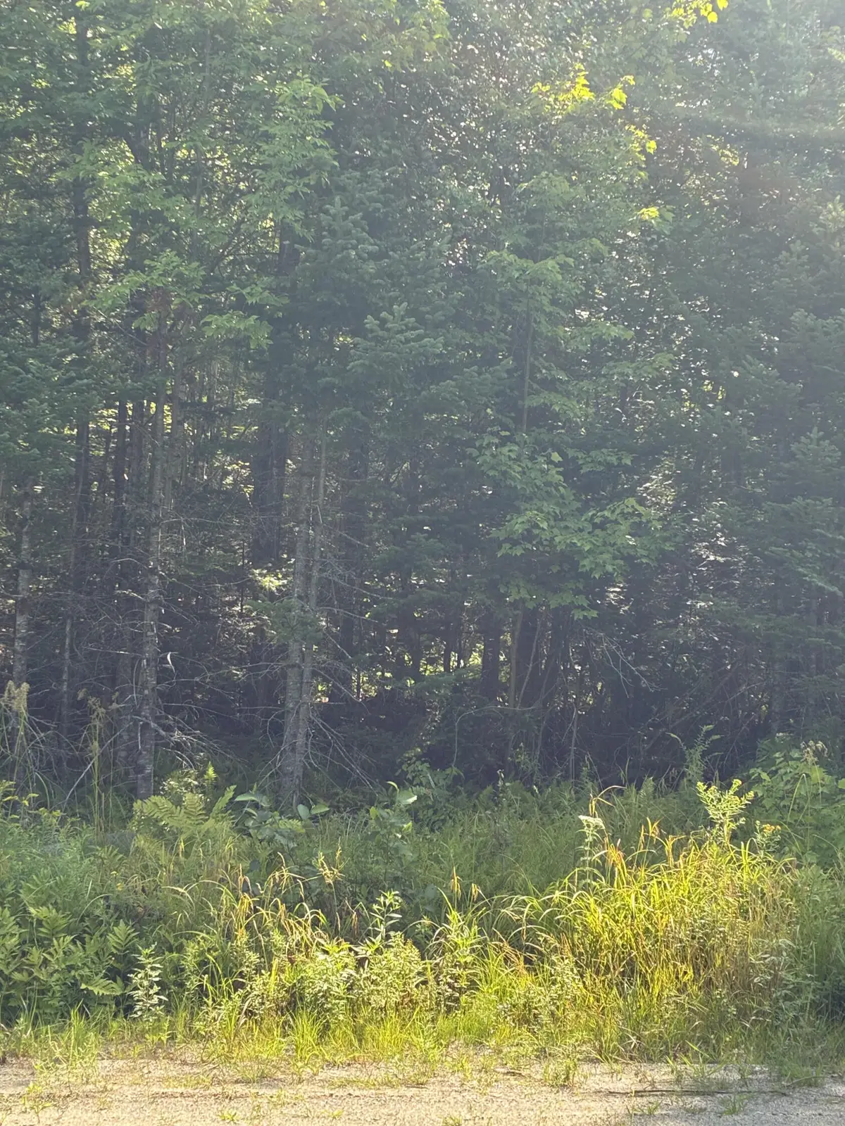 1256 Long Ridge Road, Burlington, ME 04417 - #1
